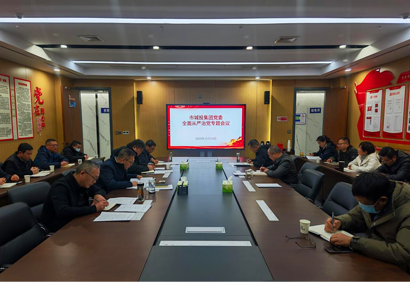 市城投集团党委召开2025年度全面从严治党专