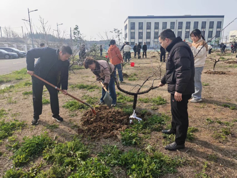 市城投集团开展义务植树活动